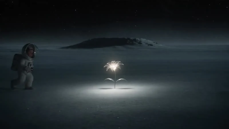 小小宇航员在月球上发现了一朵发光的花